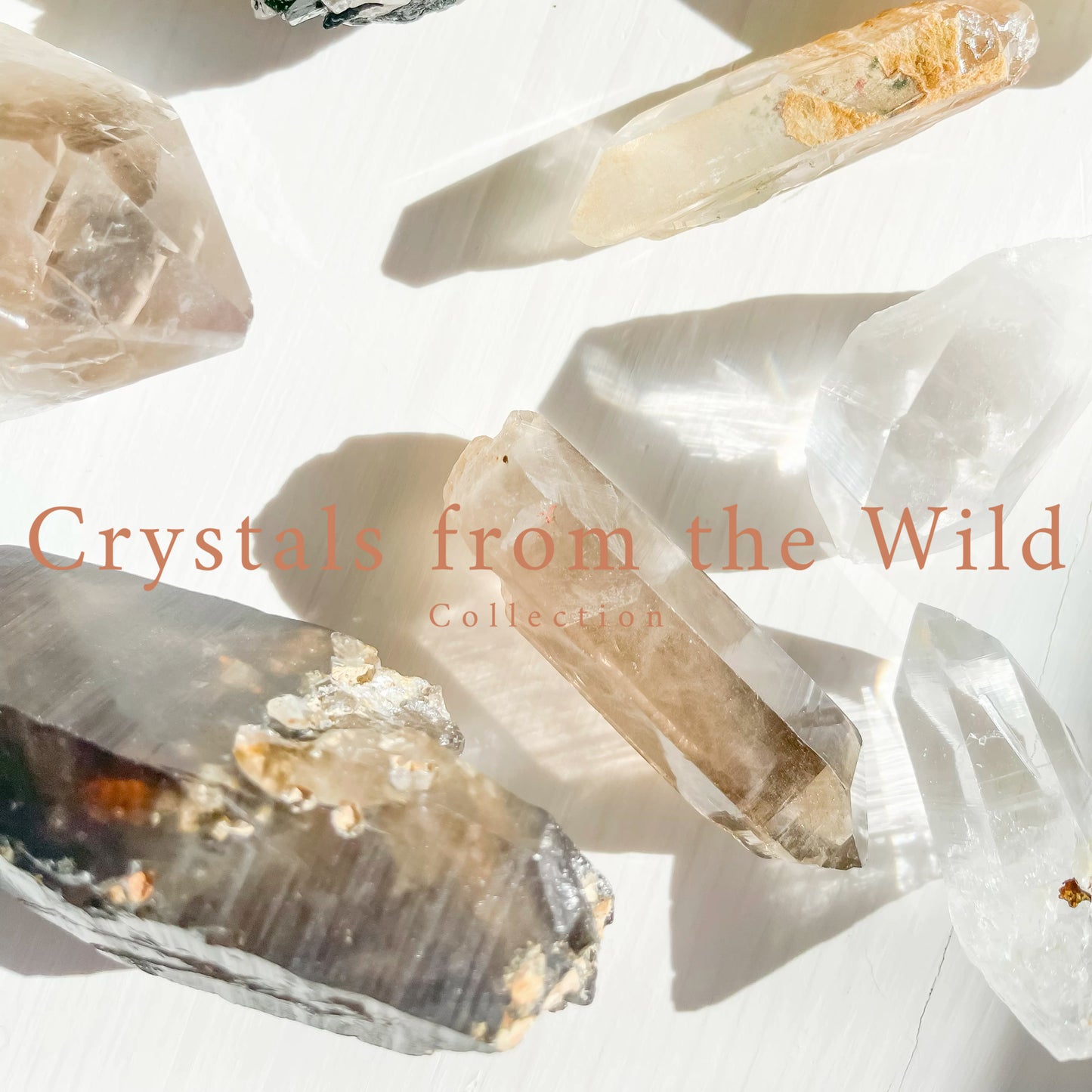 Crystals from the WILD (Raw Natural Crystals)