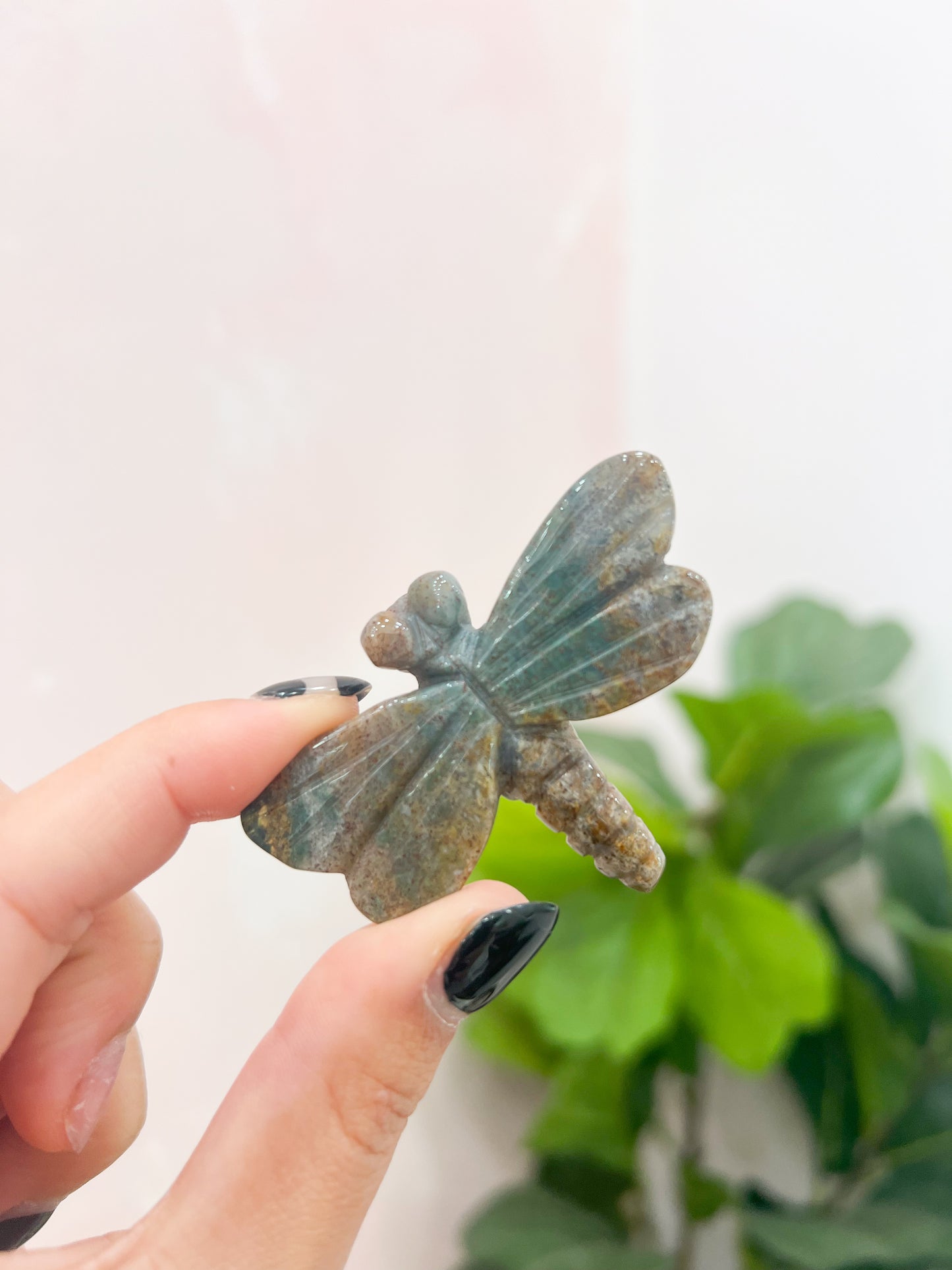 Ocean Jasper Dragonfly