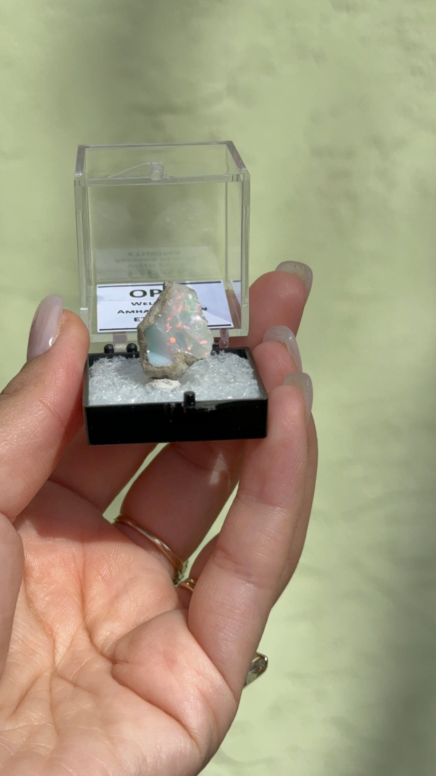 26 Opal