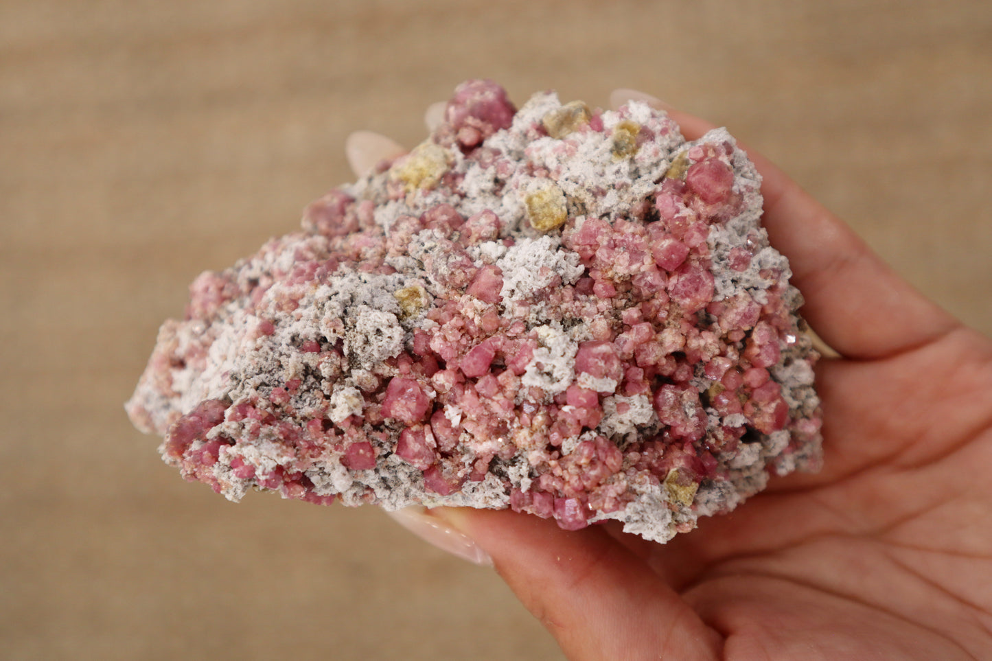 Pink Garnet Collection