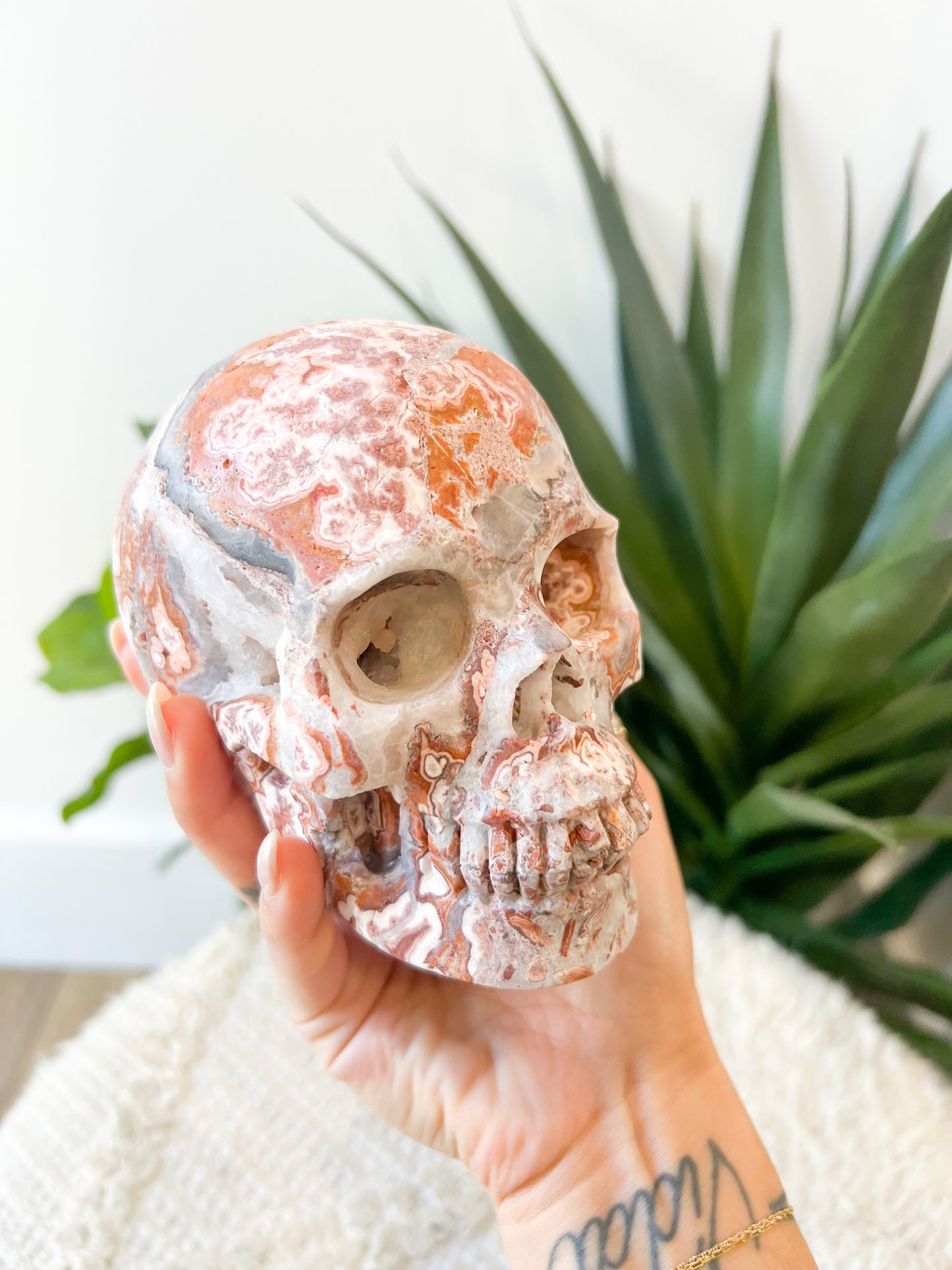 290 Red Crazy Lace Agate Skull