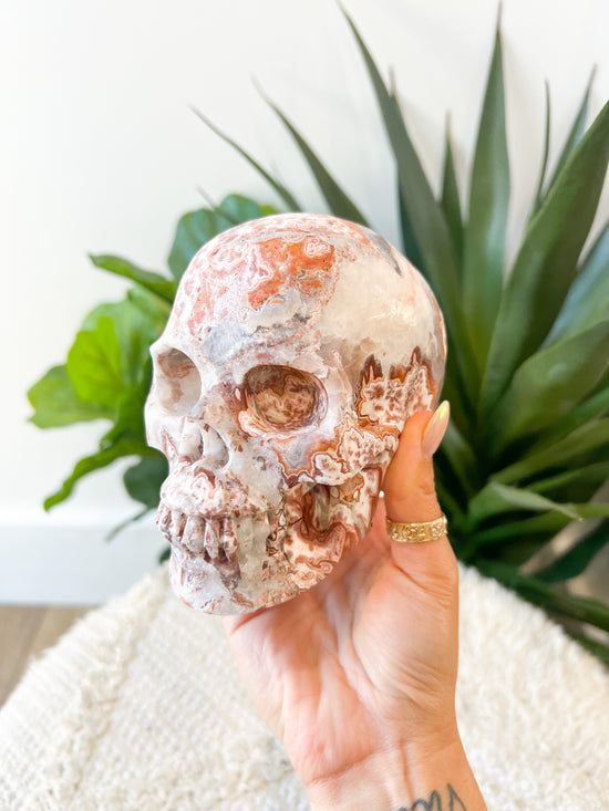 290 Red Crazy Lace Agate Skull