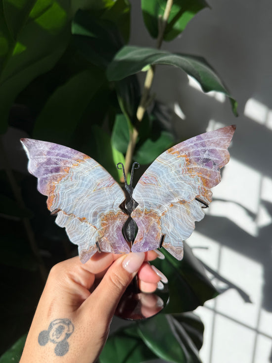 Amethyst Butterflies