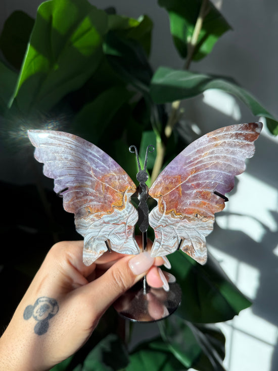 Amethyst Butterflies