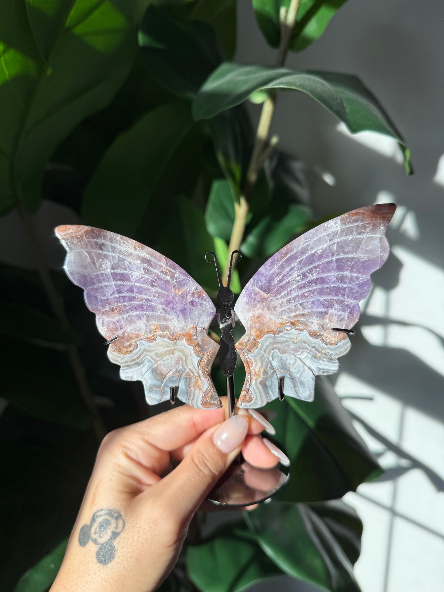 Amethyst Butterflies