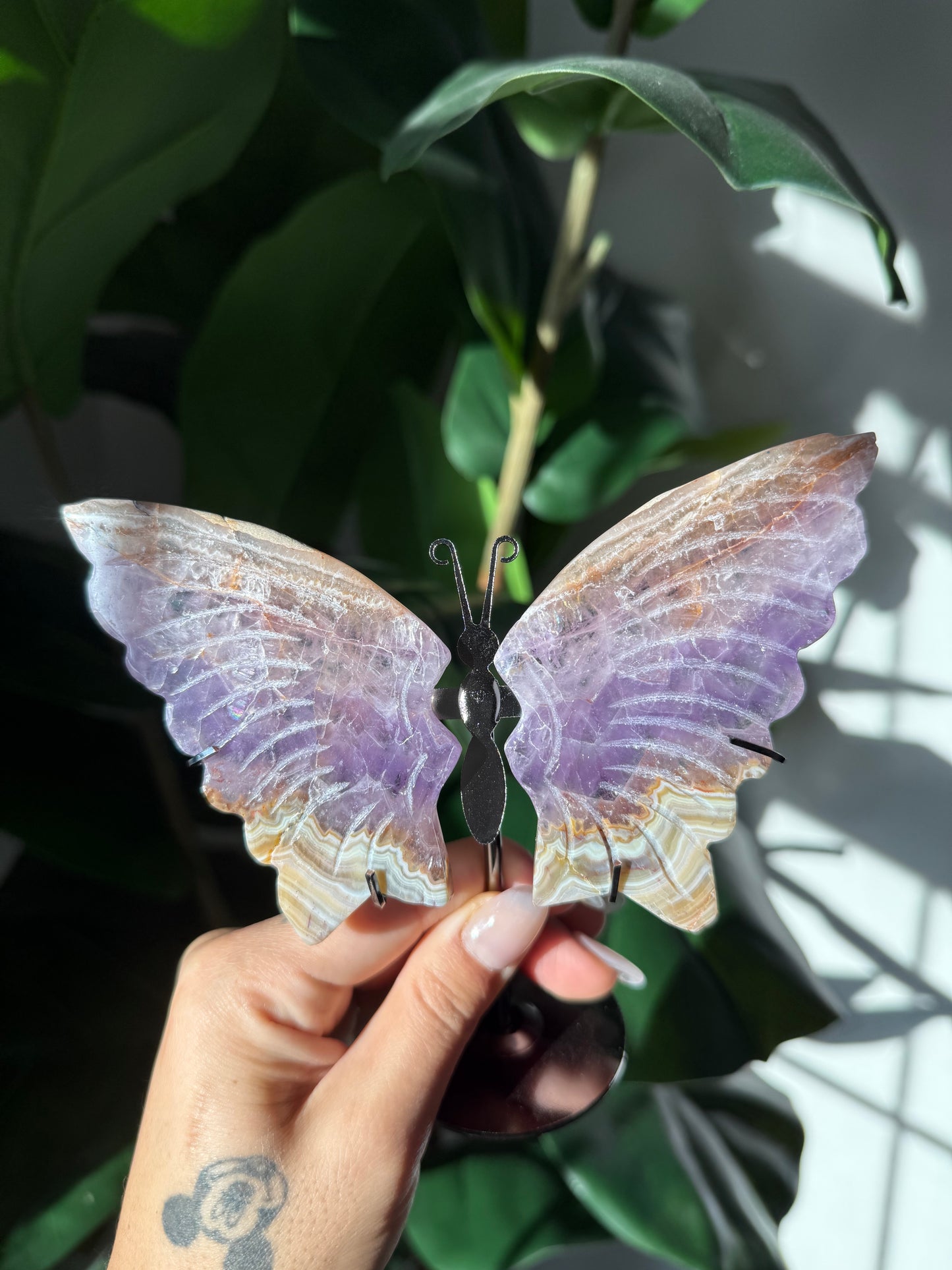 Amethyst Butterflies