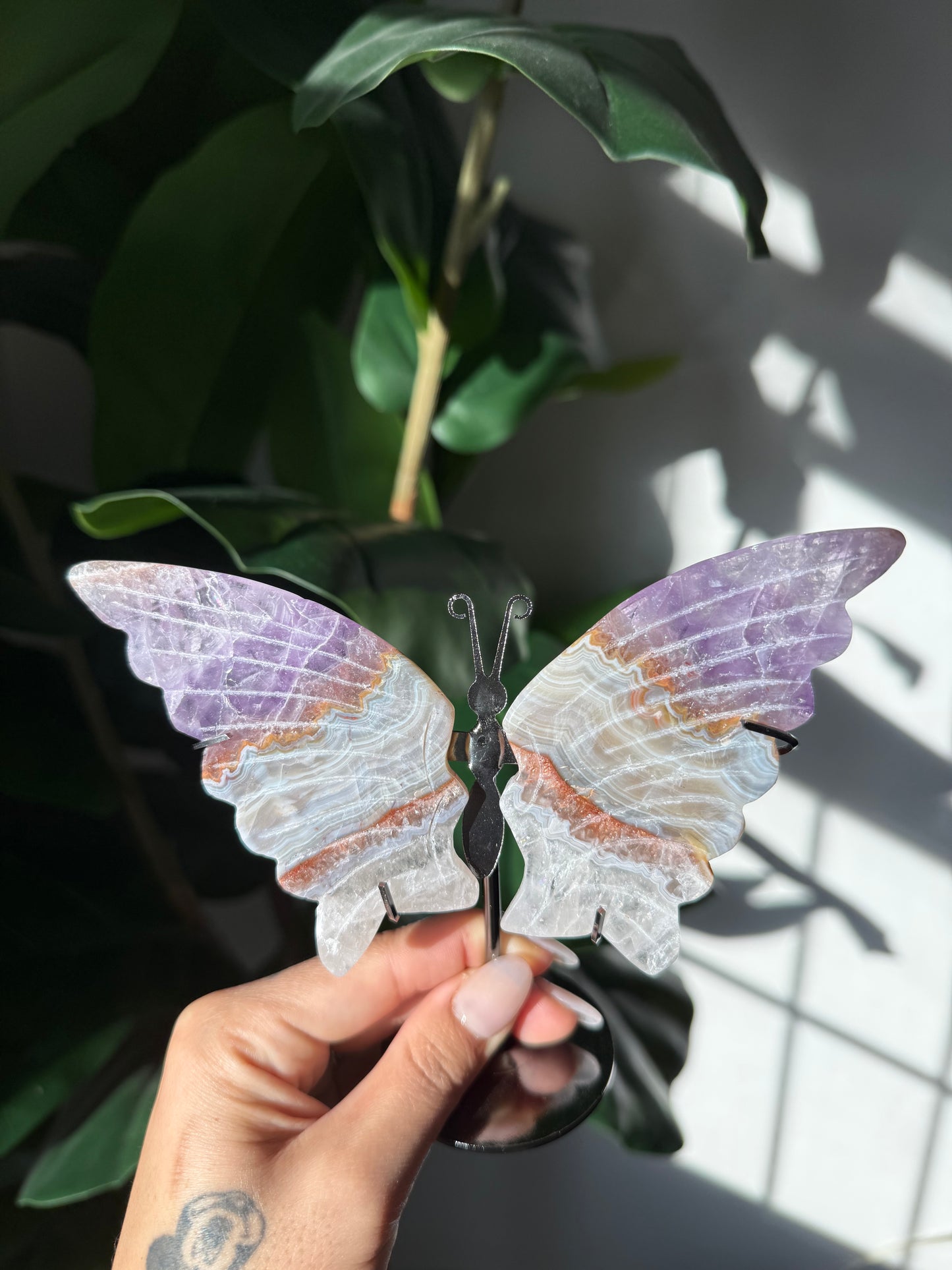Amethyst Butterflies