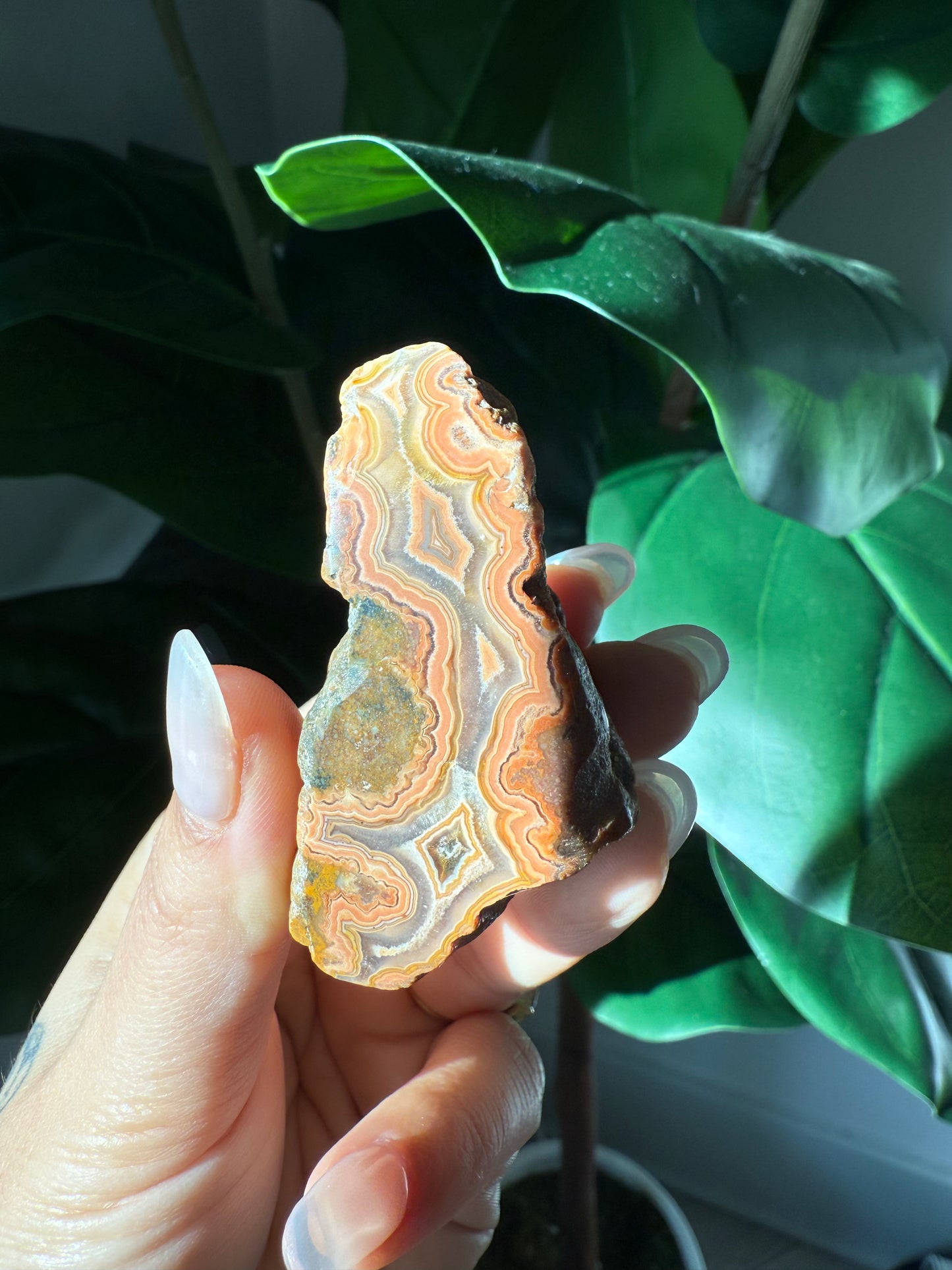 Laguna Agate