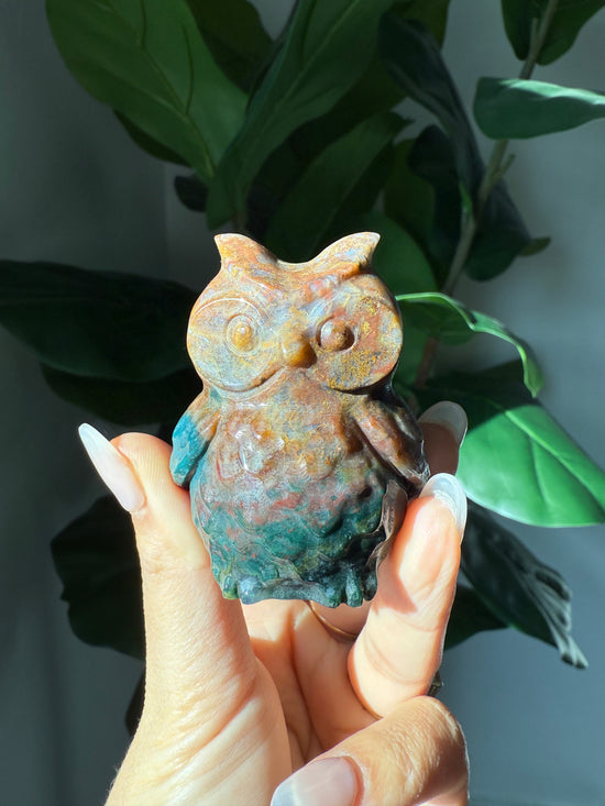 Ocean Jasper Owls