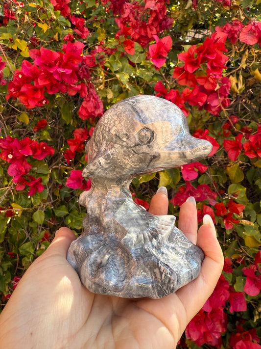 Picasso Jasper Dolphins