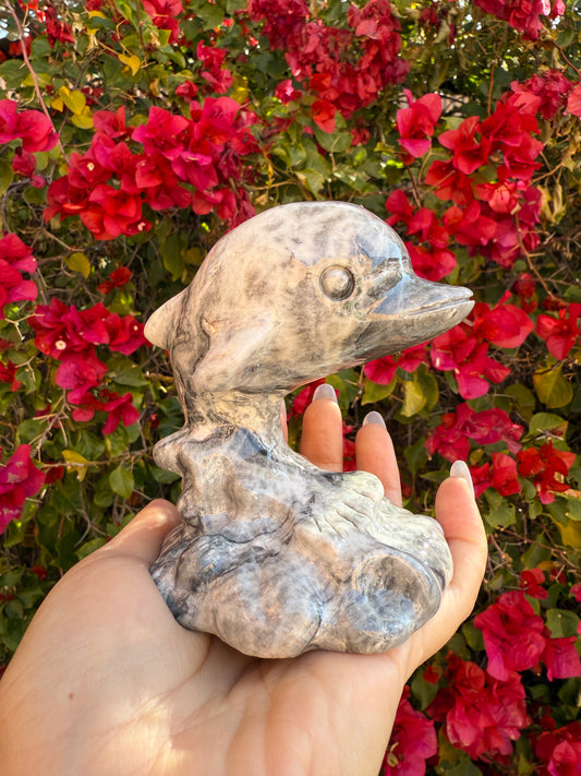 Picasso Jasper Dolphins