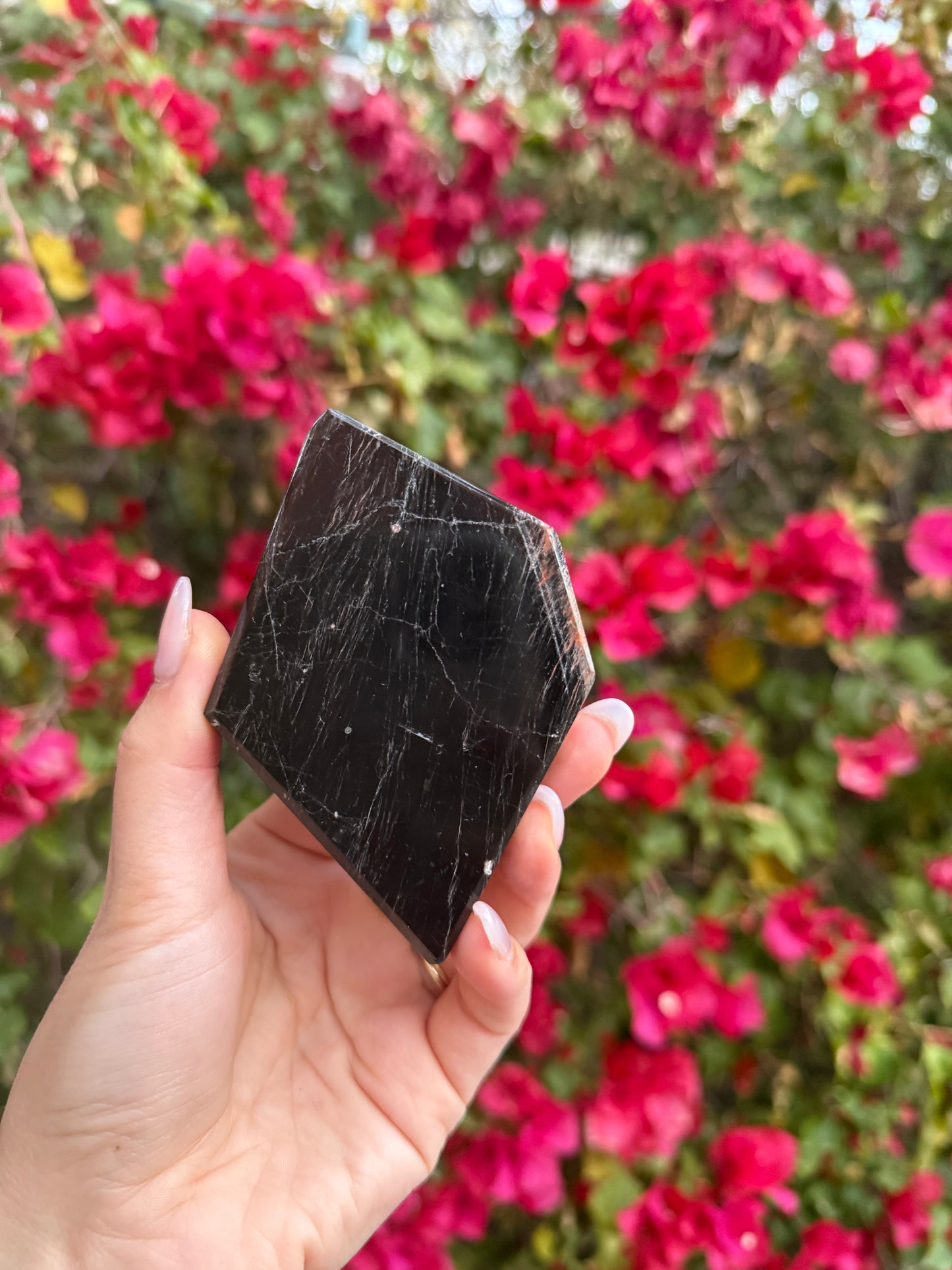 19 Black Tourmaline