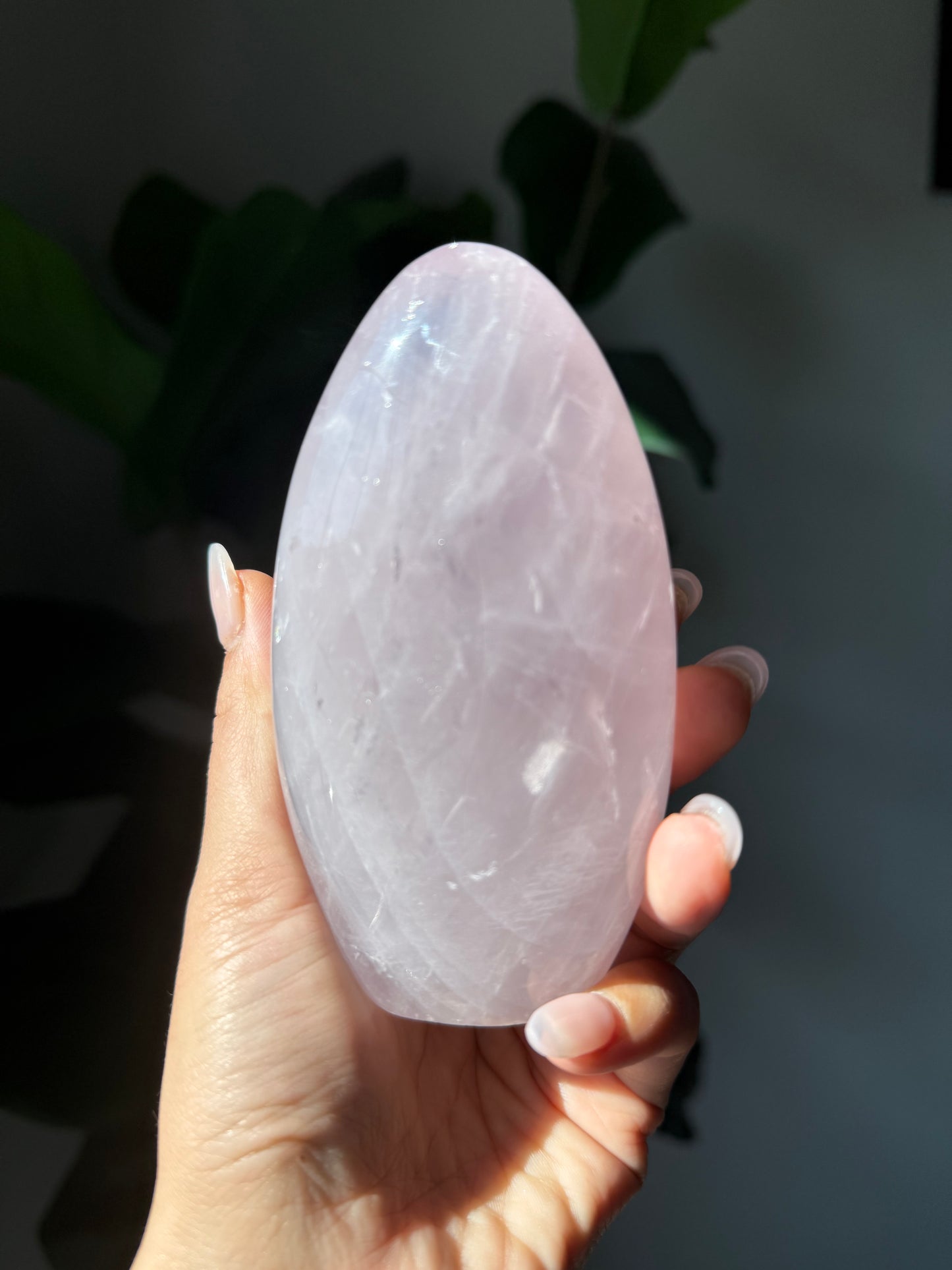 24 Rose Quartz