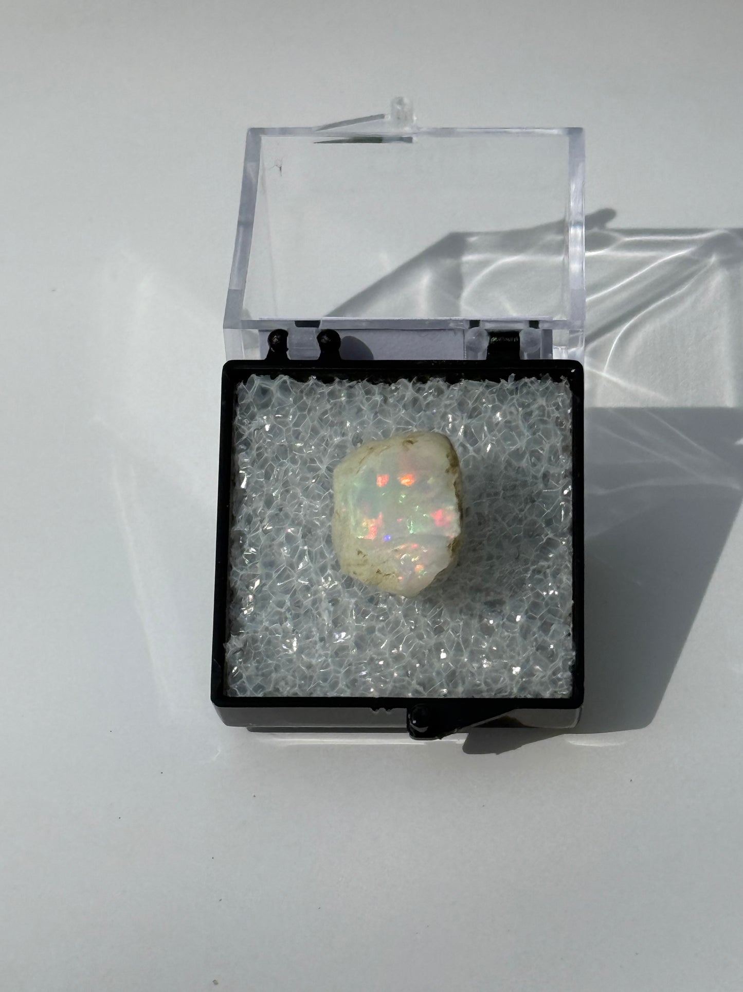 23 Opal