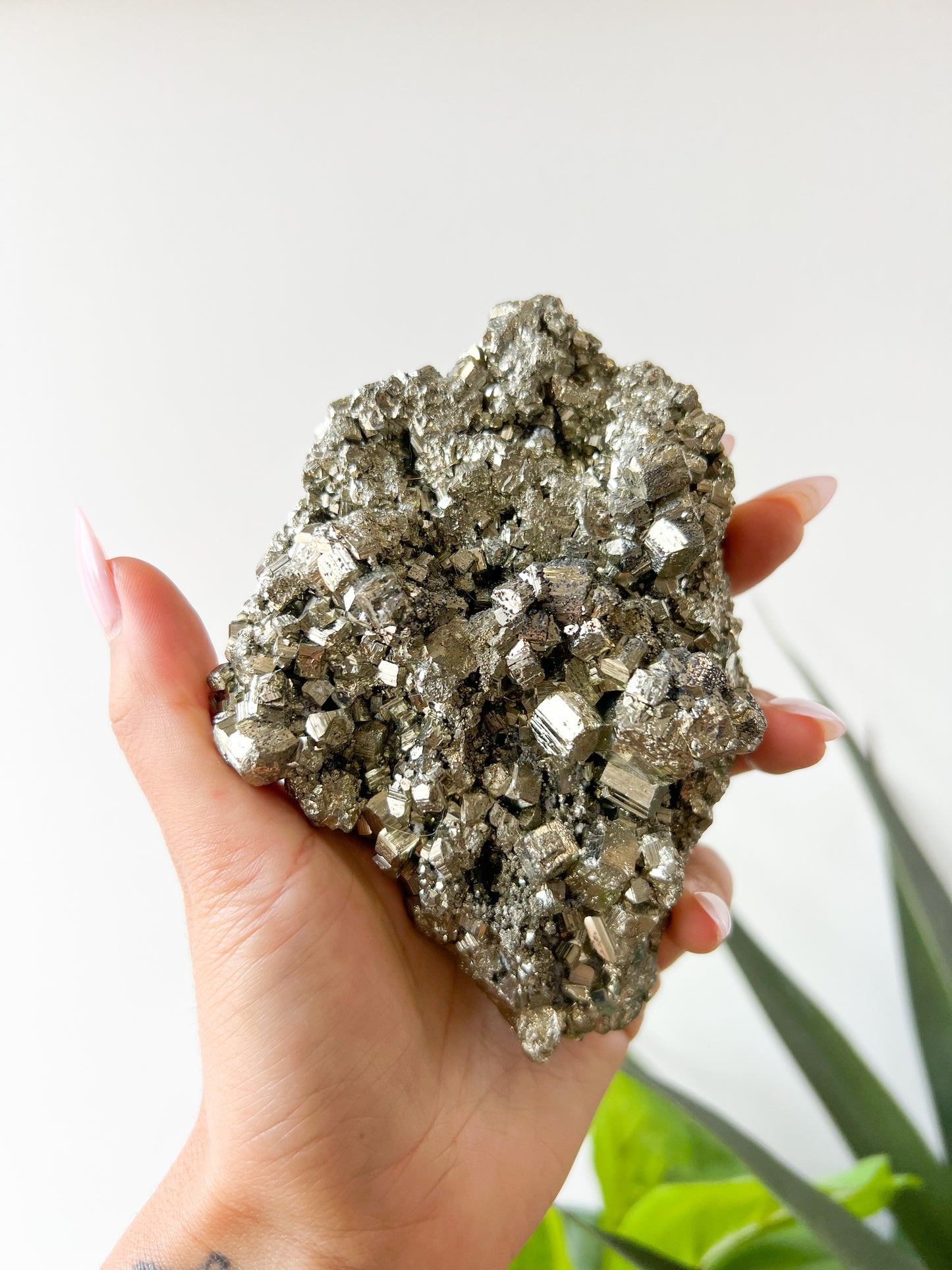 84 Pyrite Cluster