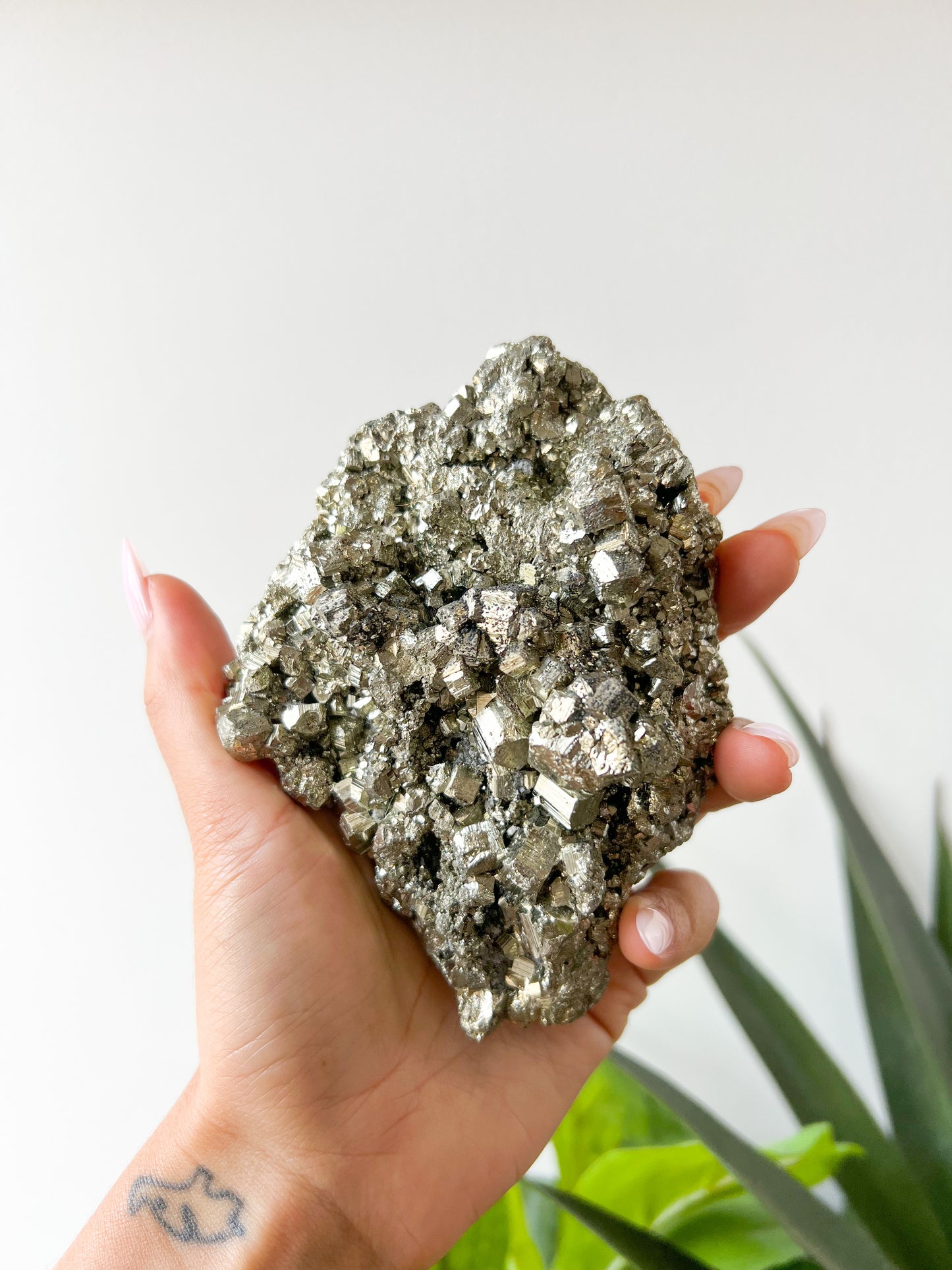 84 Pyrite Cluster