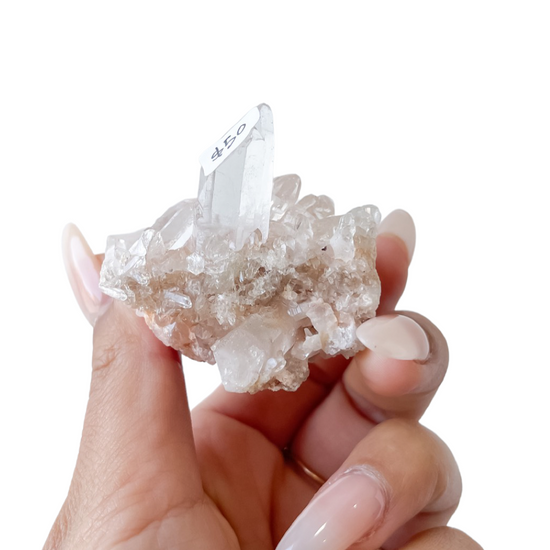 53 Himalayan Quartz Cluster