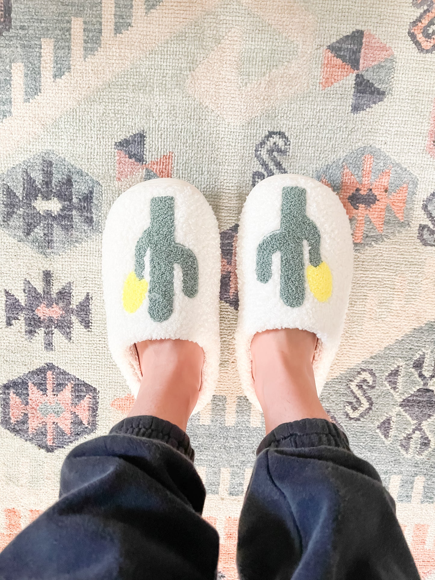 Load image into Gallery viewer, Cactus Slippers
