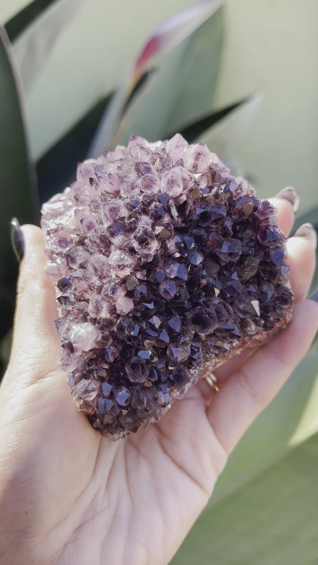 Load and play video in Gallery viewer, 145 Turkish Amethyst
