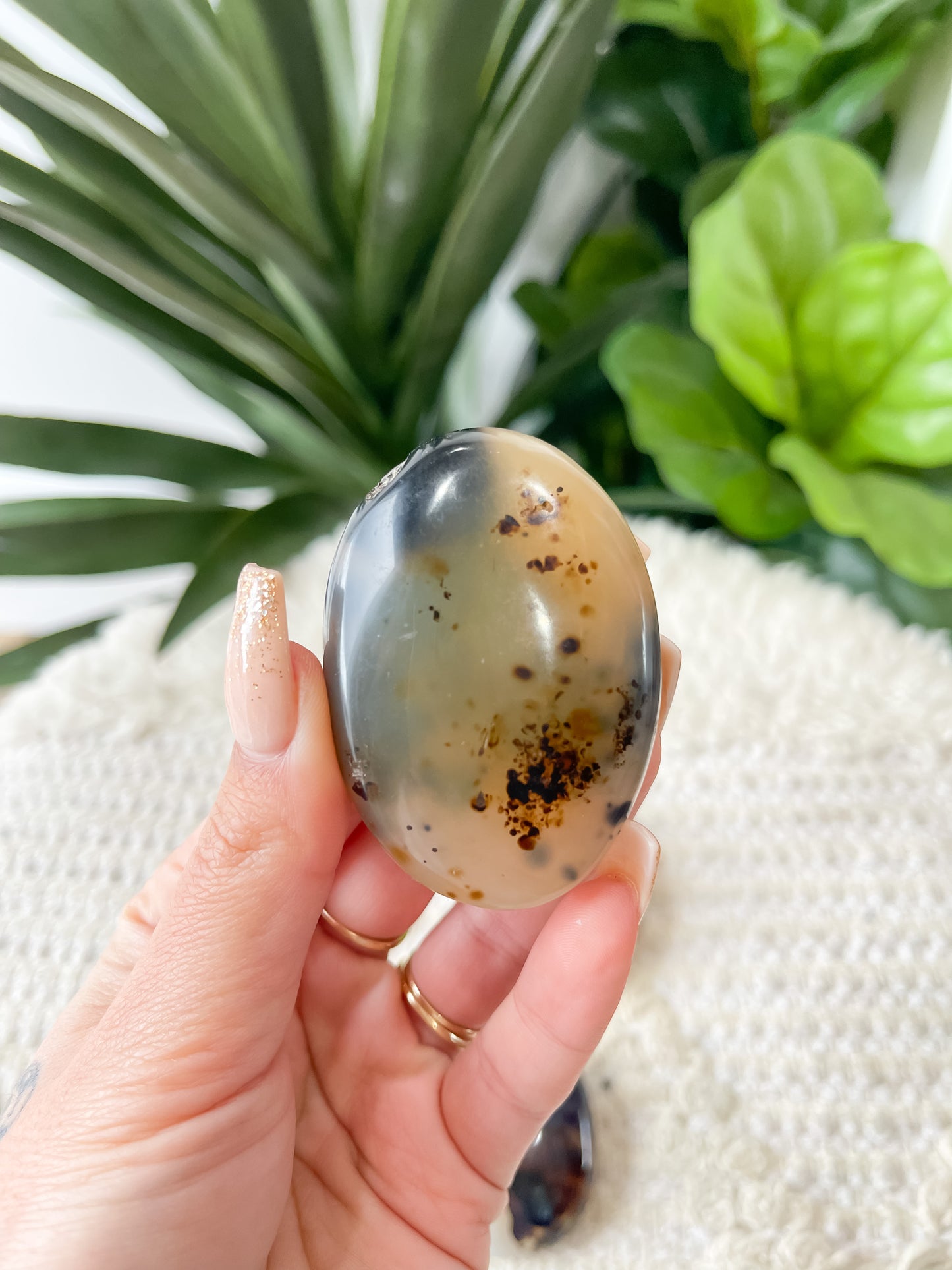 Dendritic Agate Palm Stone