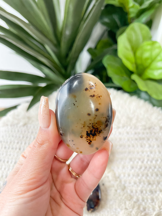 Dendritic Agate Palm Stone