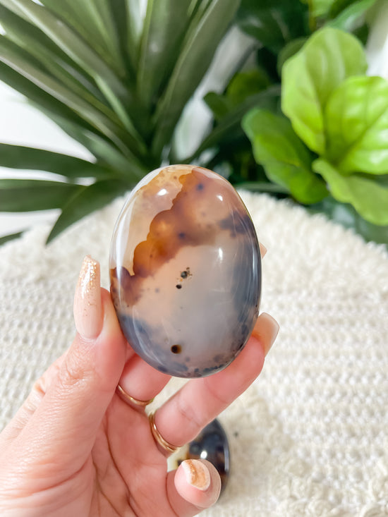 Dendritic Agate Palm Stone