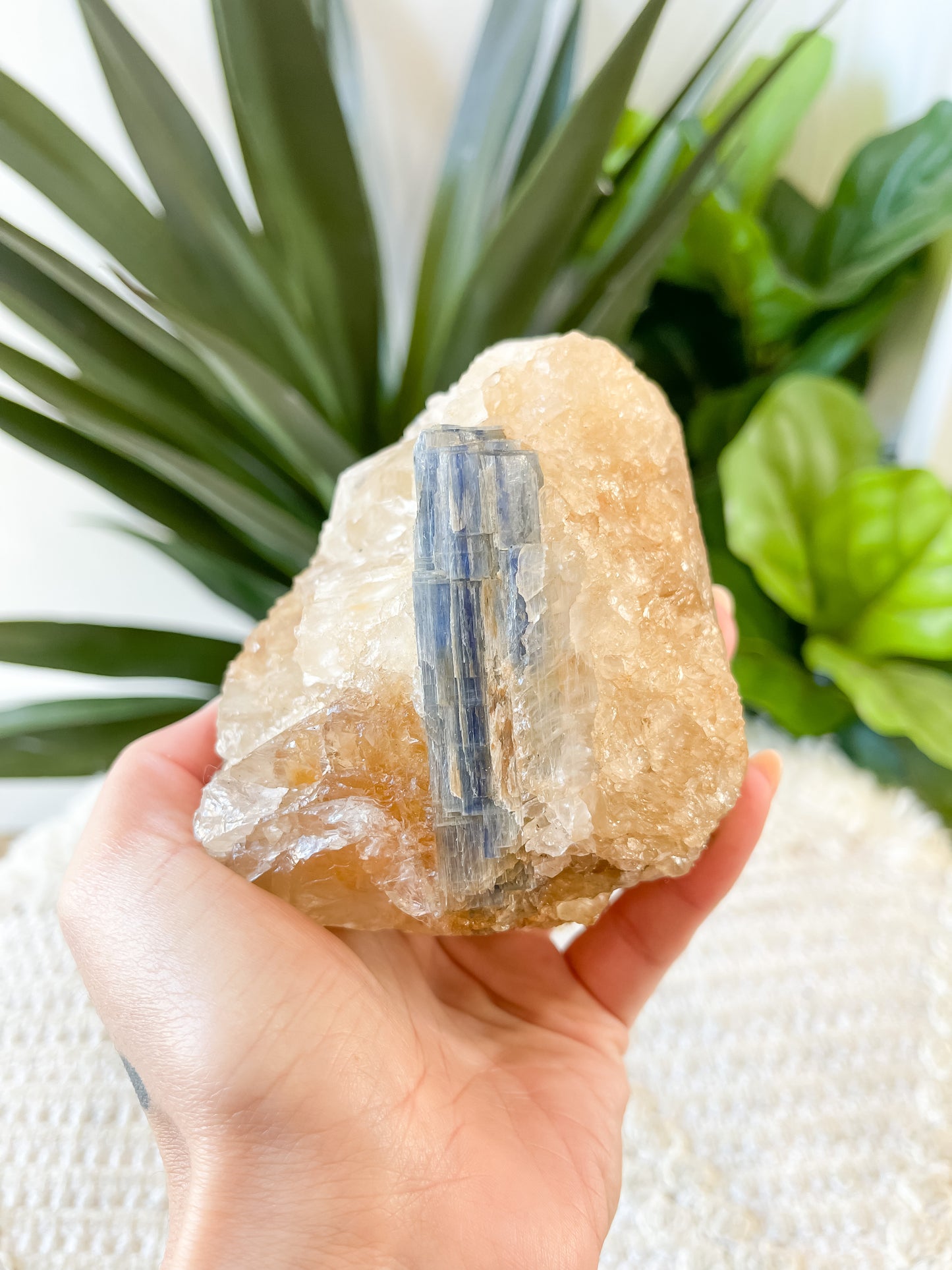 Blue Kyanite in Quartz