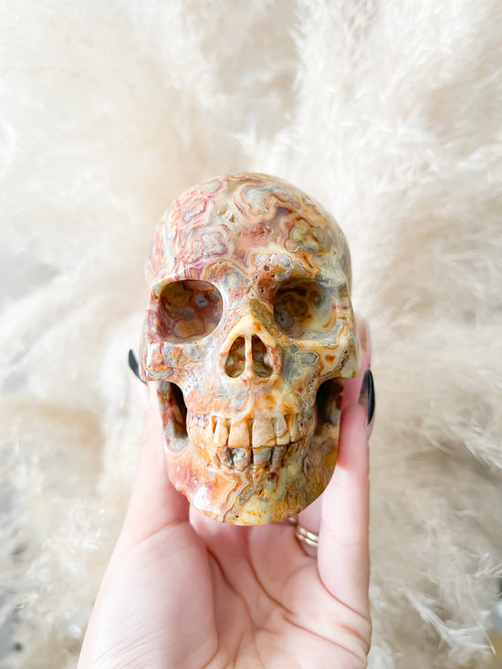 Crazy Lace Agate Skull