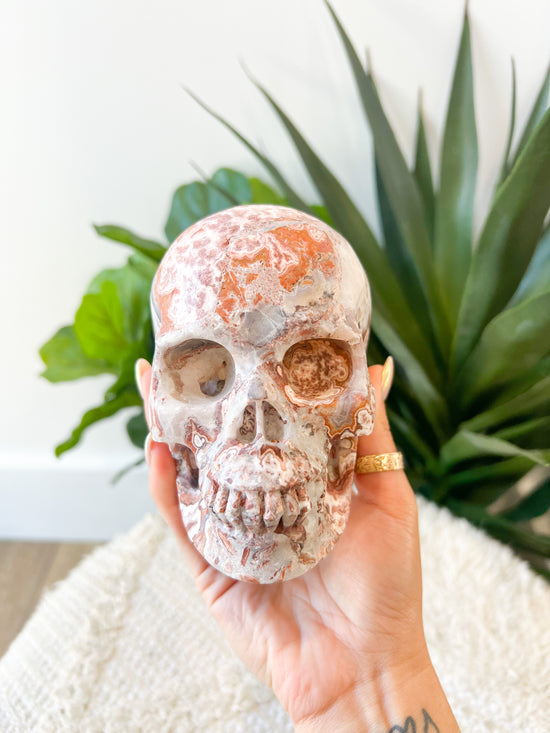 290 Red Crazy Lace Agate Skull