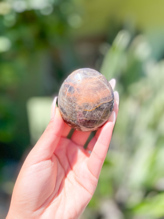 Black Moon Stone Palm Stone