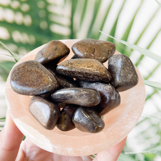 Bronzite Tumble