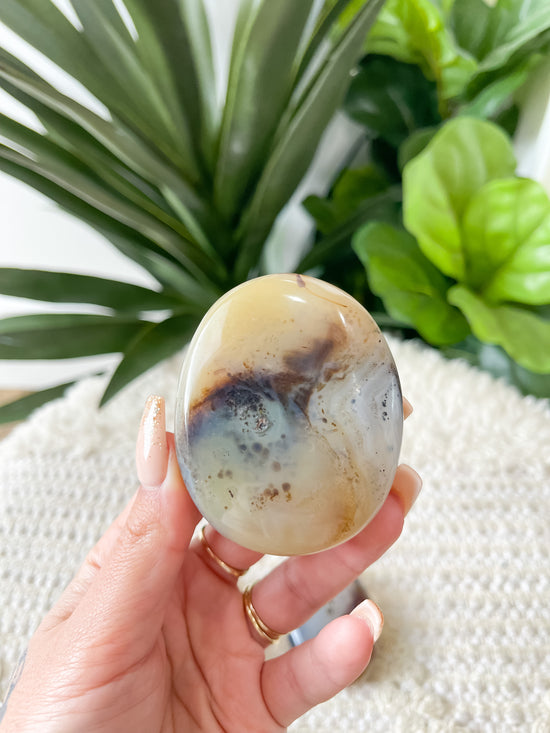 Dendritic Agate Palm Stone